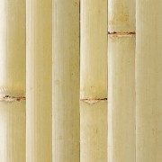 Raw Green Plyboo Tambour Bamboo Paneling