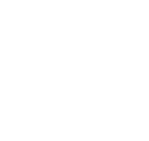 Leed / Well Support