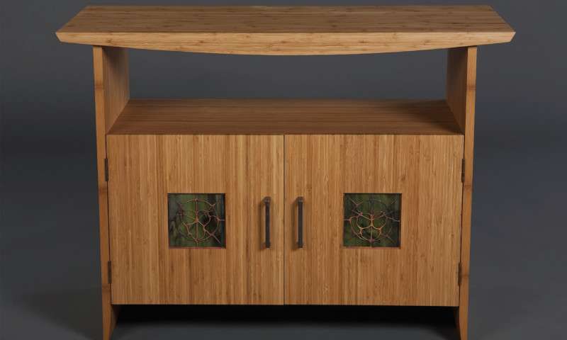 Cabinet custom design featuring Plyboo edge grain amber plywood