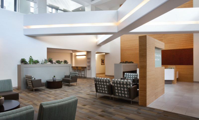 Healthcare facility divider, partitions and accents featuring Plyboo grain edge
