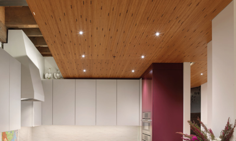 Plyboo Sound Ceiling panels to add acoustica; control to open public spaces.