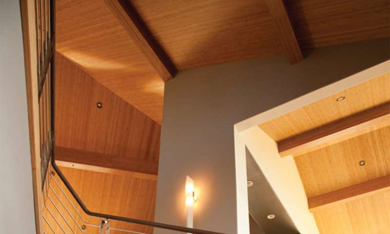 Residence featuring amber edge grain for ceiling