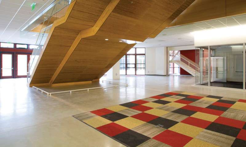 University staircase featuring Plyboo strand and flat grain amber plywood