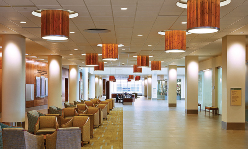 Medical center featuring Plyboo amber flat grain bamboo plywood