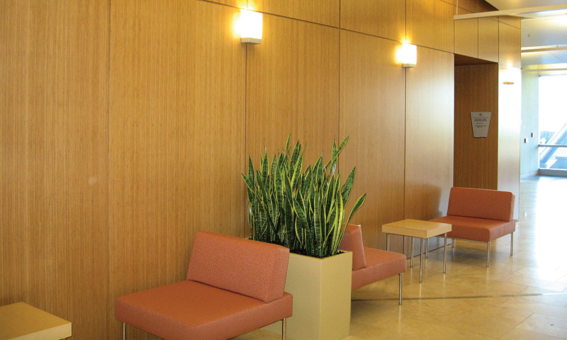 Seating area featuring bamboo plywood by Plyboo at UC San Francisco